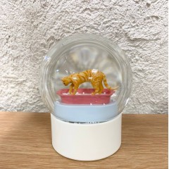 Кот / Кошка в лотке